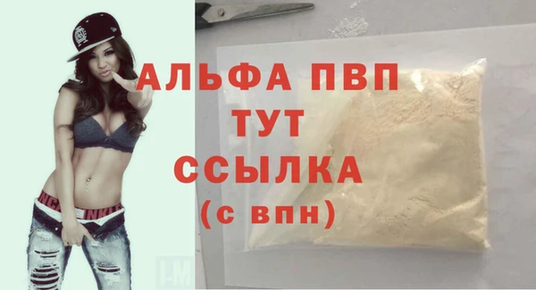 PSILOCYBIN Пересвет