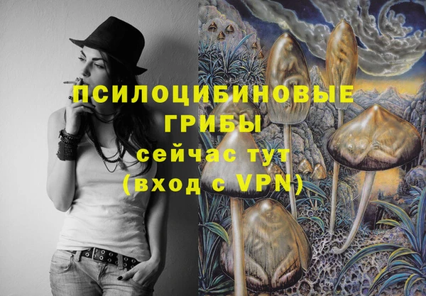 PSILOCYBIN Пересвет