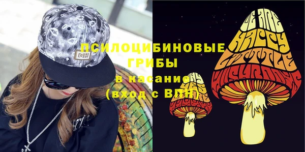 прущие крисы Переславль-Залесский