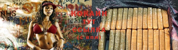 стафф Армянск