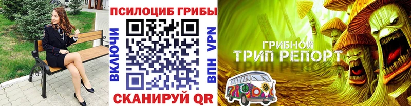 Галлюциногенные грибы GOLDEN TEACHER kraken рабочий сайт Асбест хочу